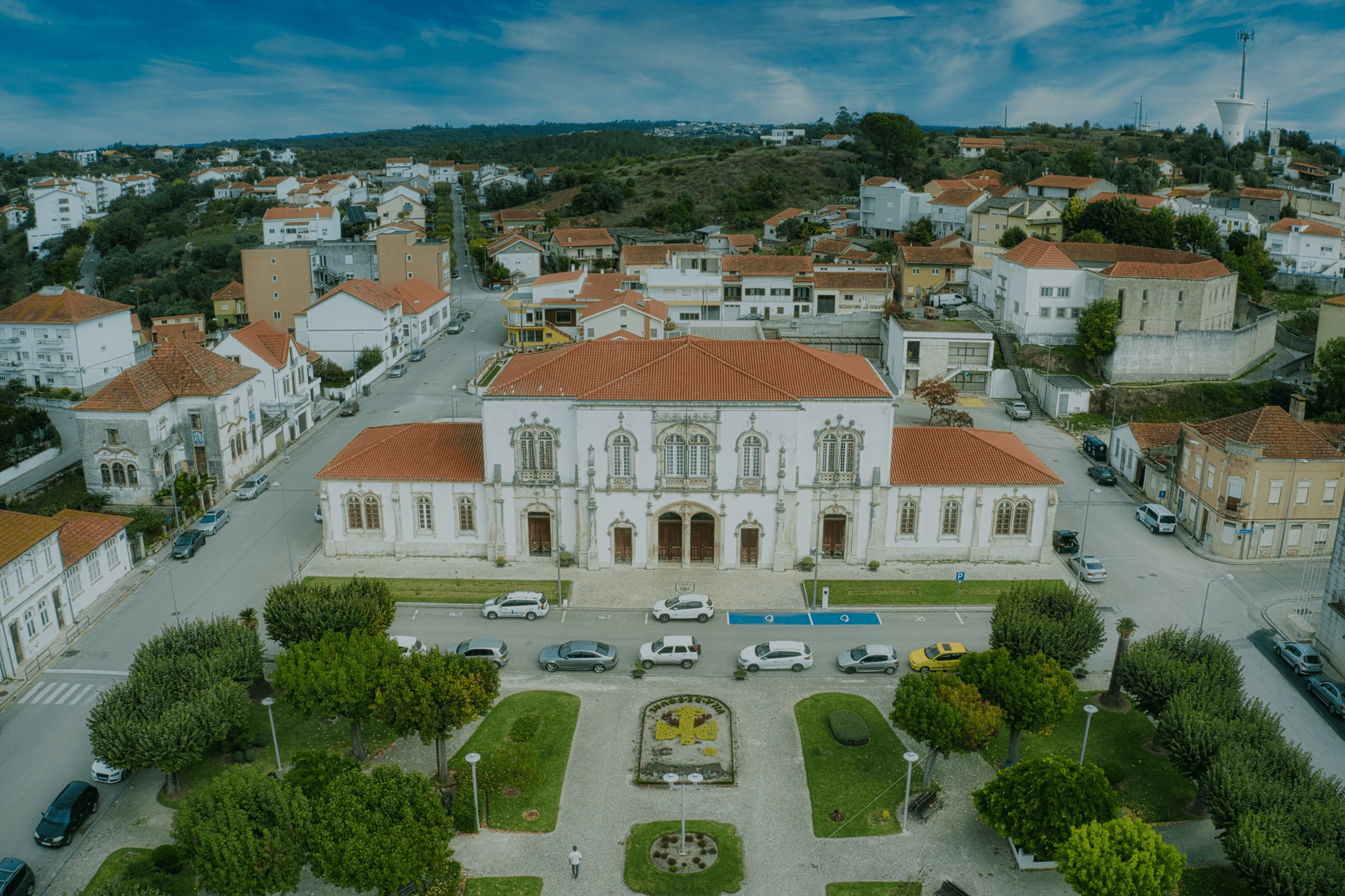 Tomi news certificate