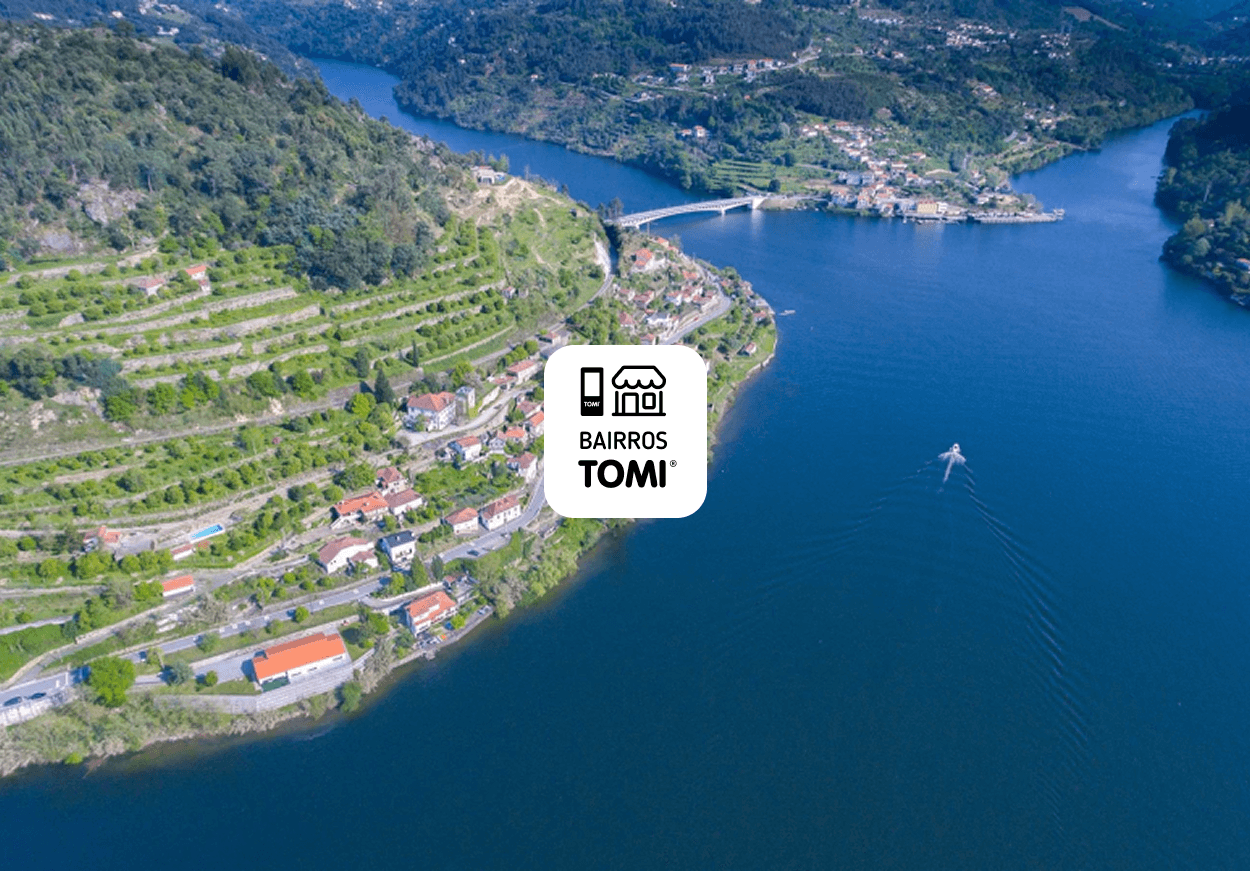 Tomi news certificate