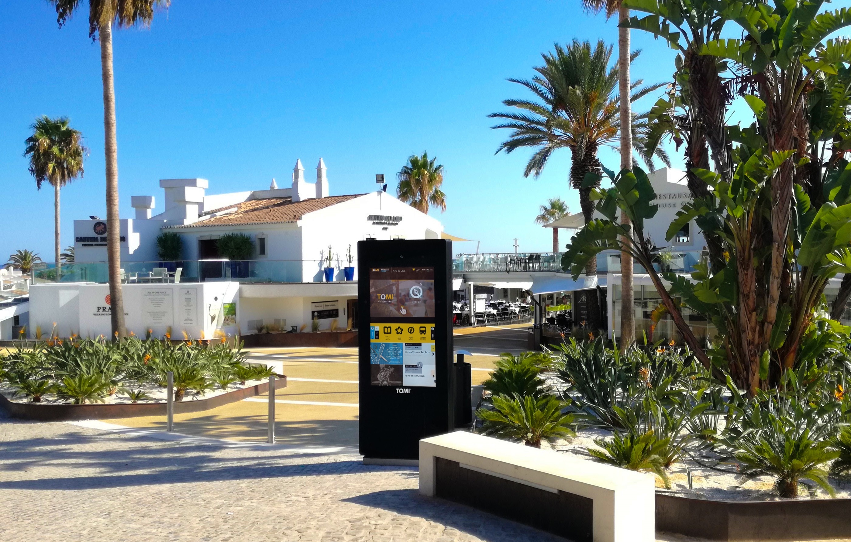 Tomi news certificate