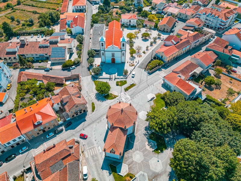 Tomi news certificate