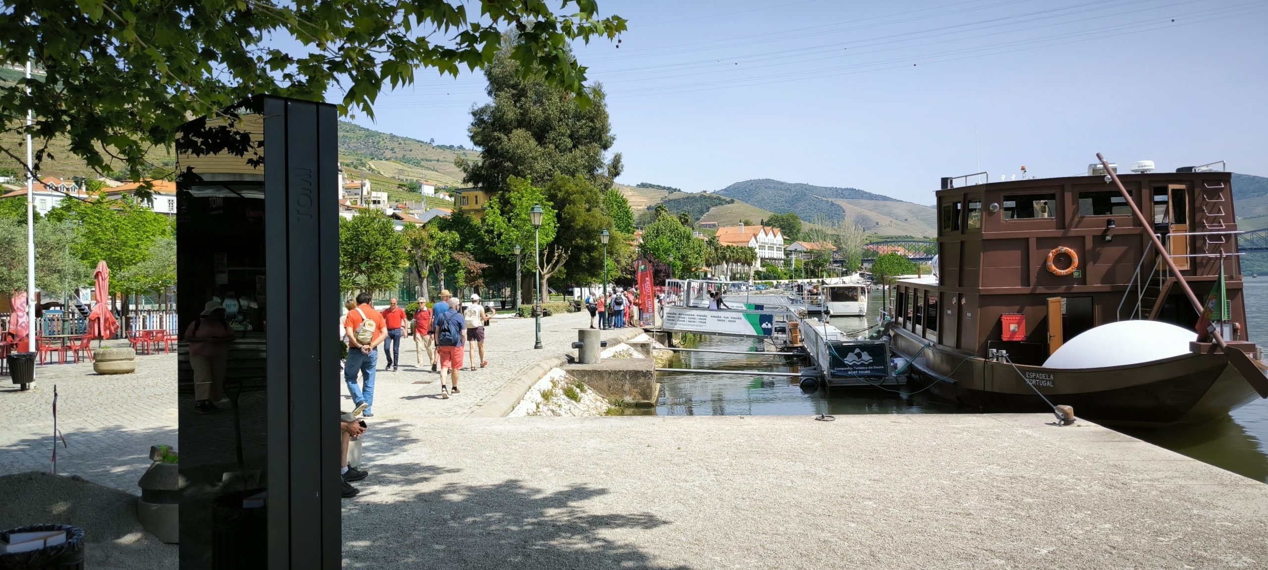 Tomi news certificate