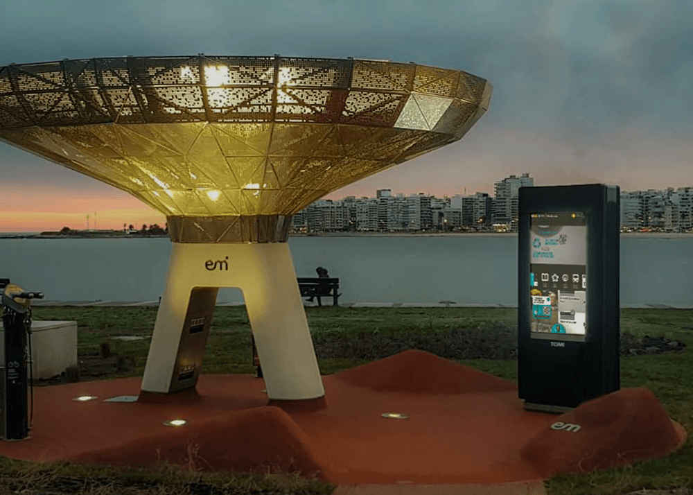 Tomi news certificate